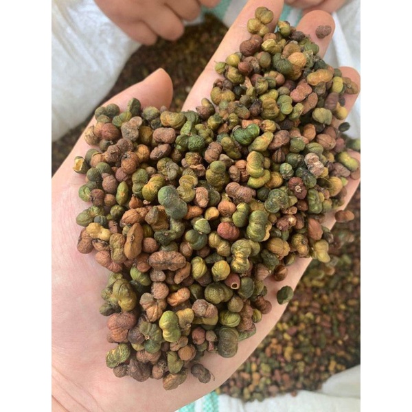 1kg hạt tam thất