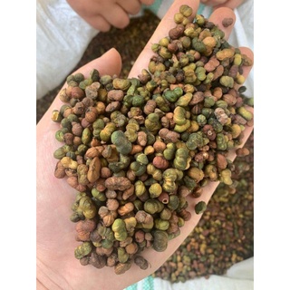 1kg hạt tam thất