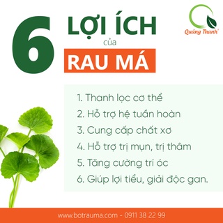 Bột rau má quảng thanh 100% nguyên chất sấy lạnh - thanh nhiệt, mát gan - ảnh sản phẩm 5