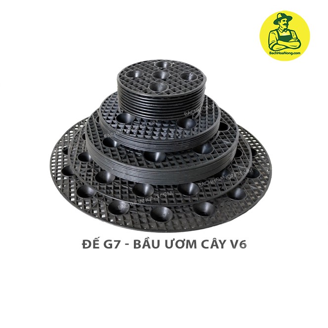Đế bầu ươm G7- nhiểu đường kính