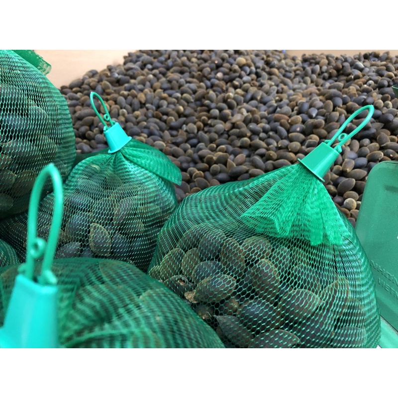 Trái Say Rừng| Nhung Hàng Tuyển Loại 1  Chuẩn Mùa Mới 500gr