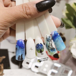 Móng test chùm vuông, móng que test sơn chuyên dụng