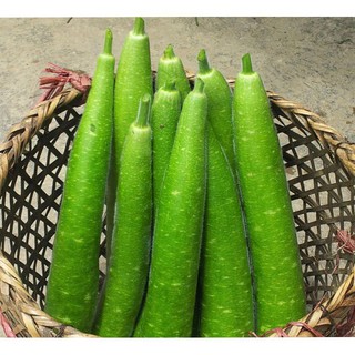 2Gr Hạt Giống Bầu Sao Trái Dài luckyseed hạt siêu rẻ