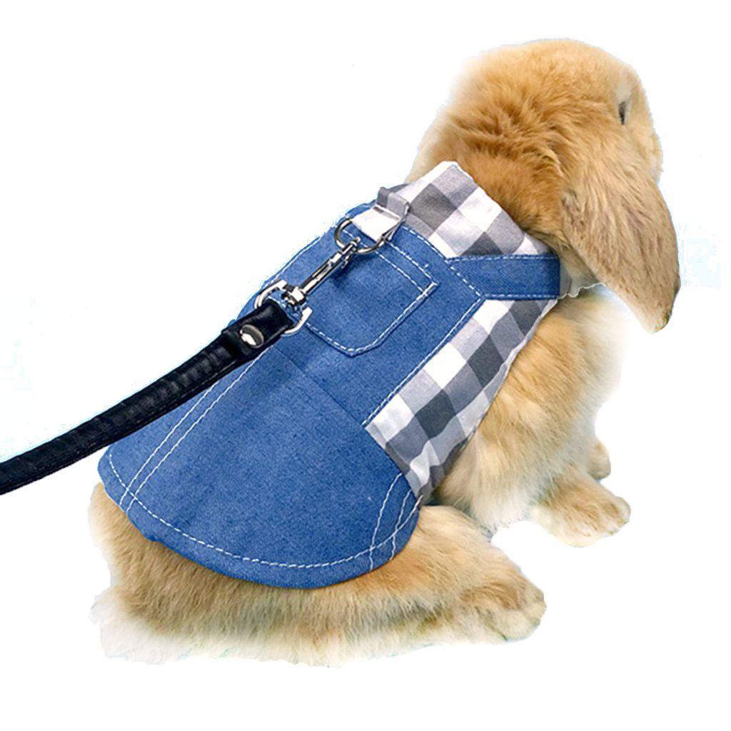 1 Bộ Áo Khoác Denim Kèm Dây Dắt Cho Thỏ Cưng