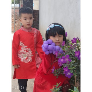 Com bo 6 cây giống