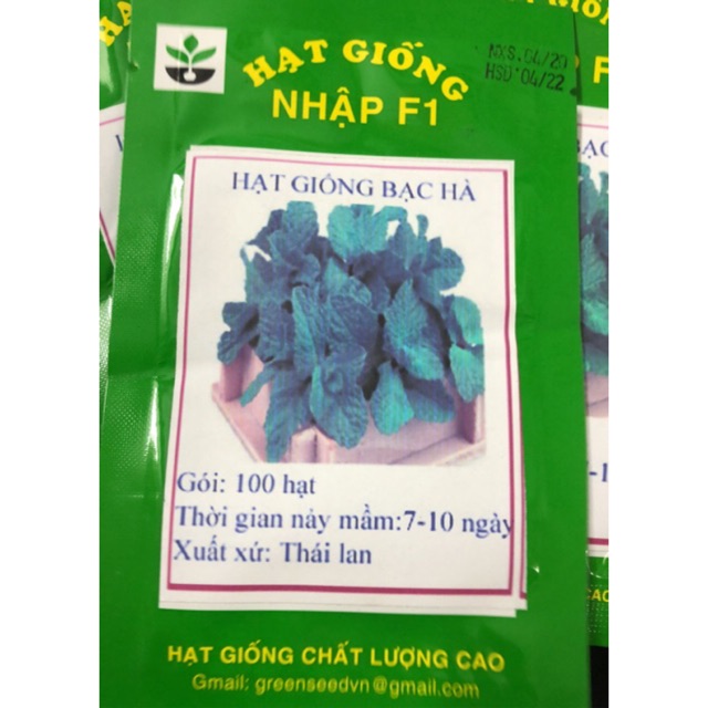 Hạt giống Húng bạc hà  ☘️
