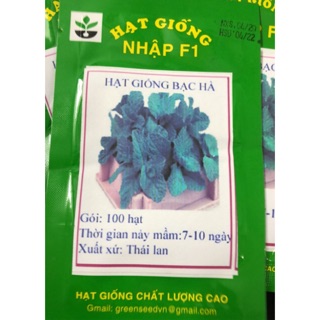 Hạt giống Húng bạc hà (húng lủi) ☘️