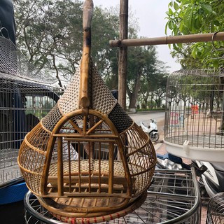 Cu gáy quả đào nóc đan sợi nhựa