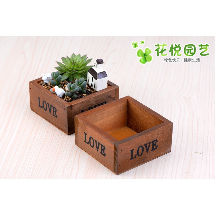 Chậu gỗ trồng cây 10x10x5cm/tiểu cảnh/terrarium