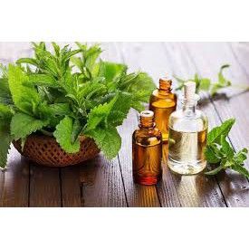 [Bán lấy 5 sao]Tinh Dầu Xông Phòng Khử Mùi - An Thần - Dễ Ngủ 10ml ( Sản phẩm triết xuất tự nhiên )