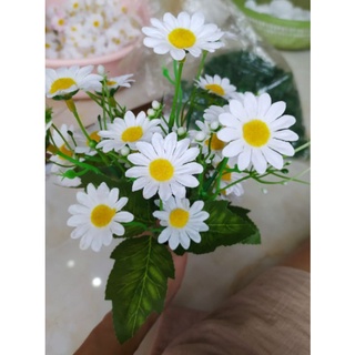 Hoa cúc Daisy lụa xinh xắn