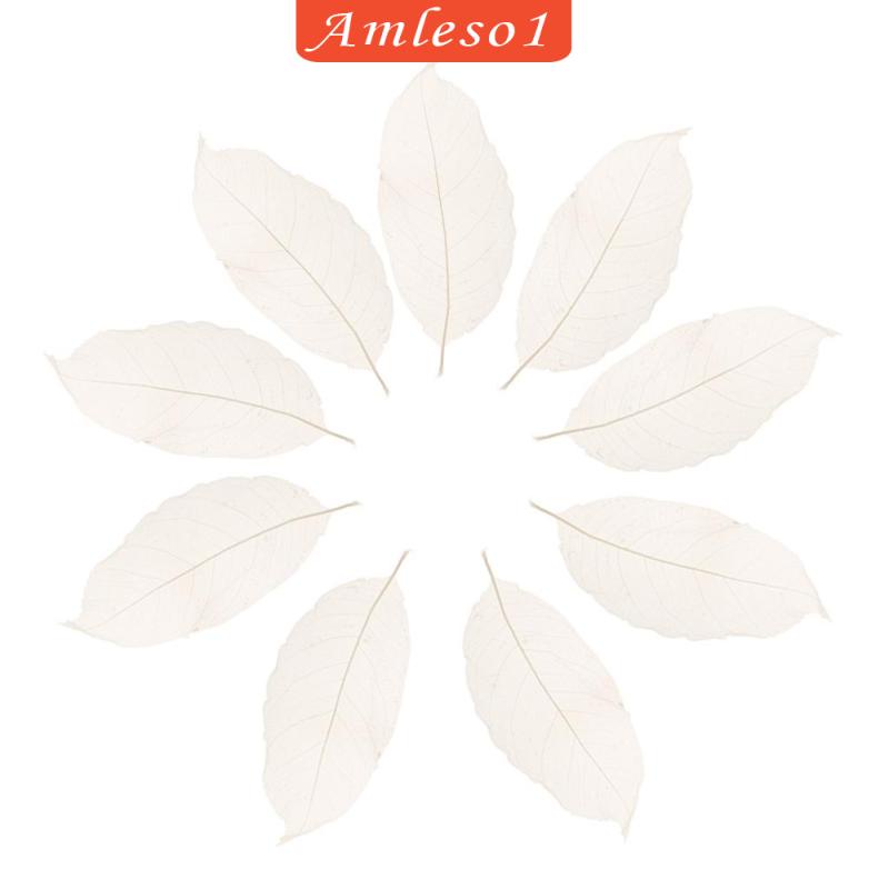 Set 50 Lá Mộc Lan Tự Nhiên Màu Trắng Amleso1 Dùng Trang Trí Sổ Tay