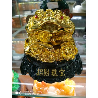 Thiềm thừ đế gỗ