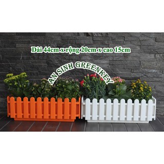 Chậu hàng rào (chậu nhựa hàng rao) cỡ to