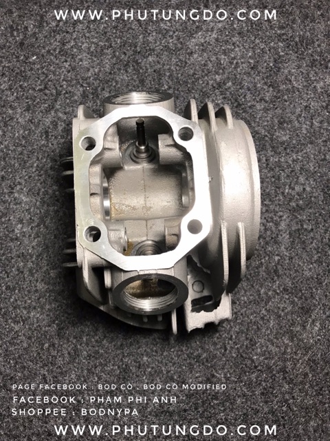 Đầu bò kohrong Wave Dream