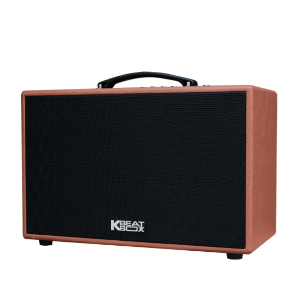 Loa Karaoke ACNOS CS200 - Hàng chính hãng