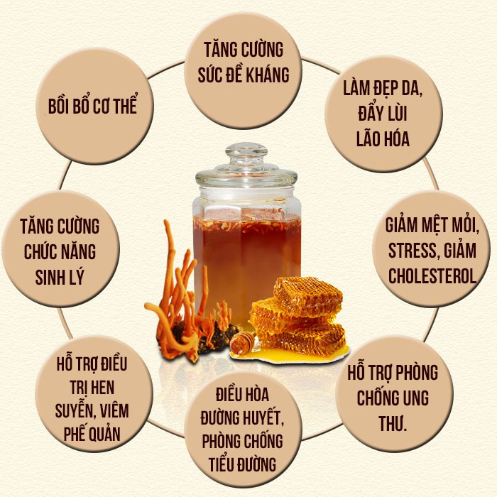 Mật Ong Hoa Rừng 100% Nguyên Chất Chai 1L (1.5kg) - Đặc sản rừng A Ma Thuột [ Tặng Nấm Linh Chi ]