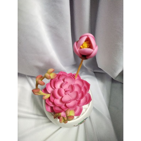 Chậu sen đá đất sét