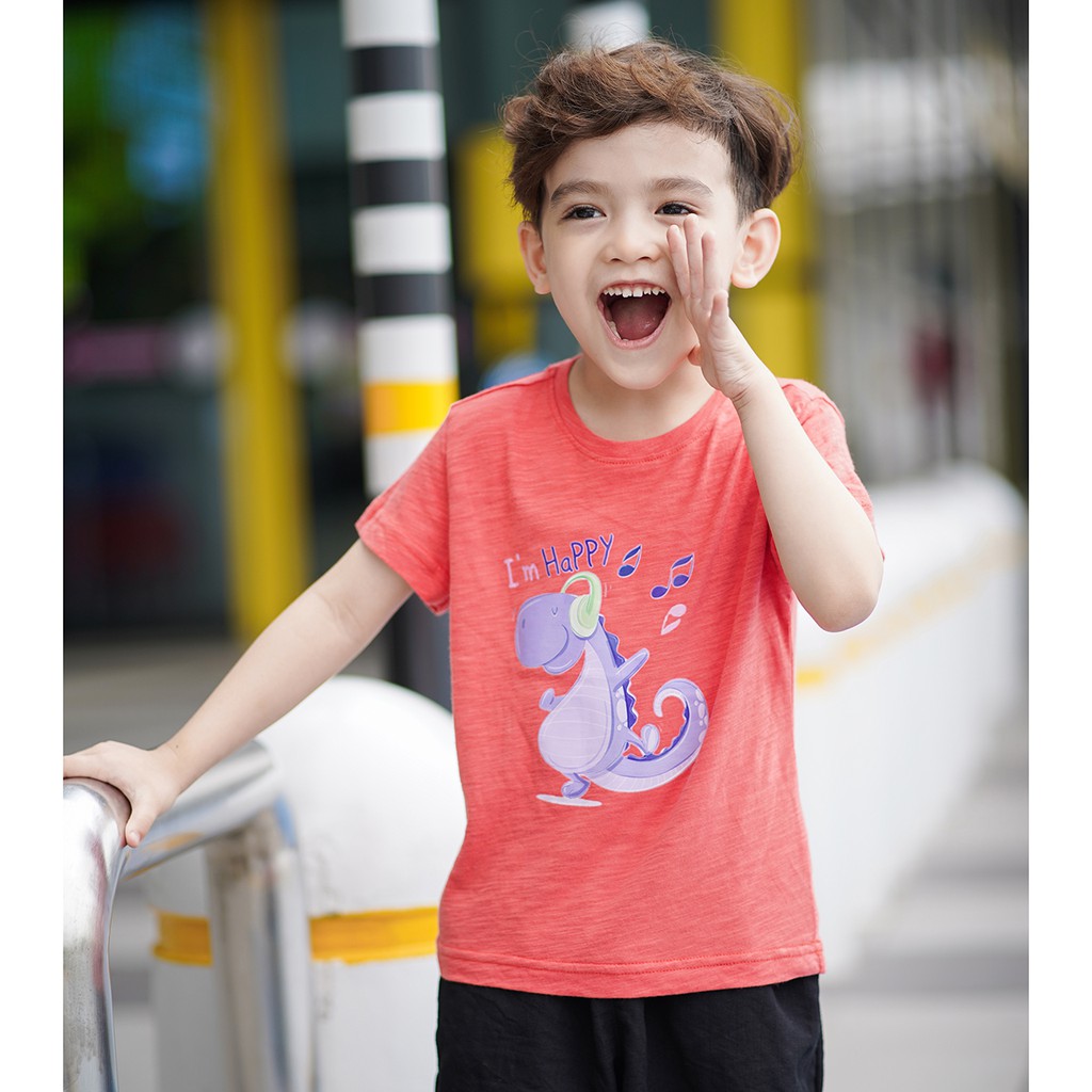 Áo Thun Bé Trai 3 - 4 T/12 -15 kg/Size 100 Cotton Xước Nhiều Màu, Chính Hãng Cao Cấp,Tiêu Chuẩn Xuất Khẩu