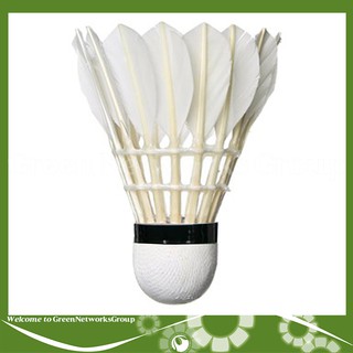 CẦU LÔNG VINA PRO