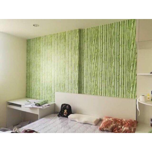 giấy dán decal cây tre xanh thiên nhiên