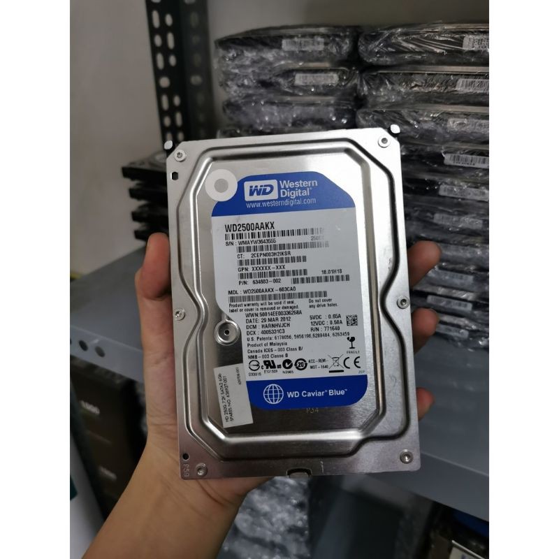 Ổ Cứng HDD 250GB WB Blue SATA 7200rpm  BH 01 năm - Hỗ Trờ Cài Sẵn HĐH