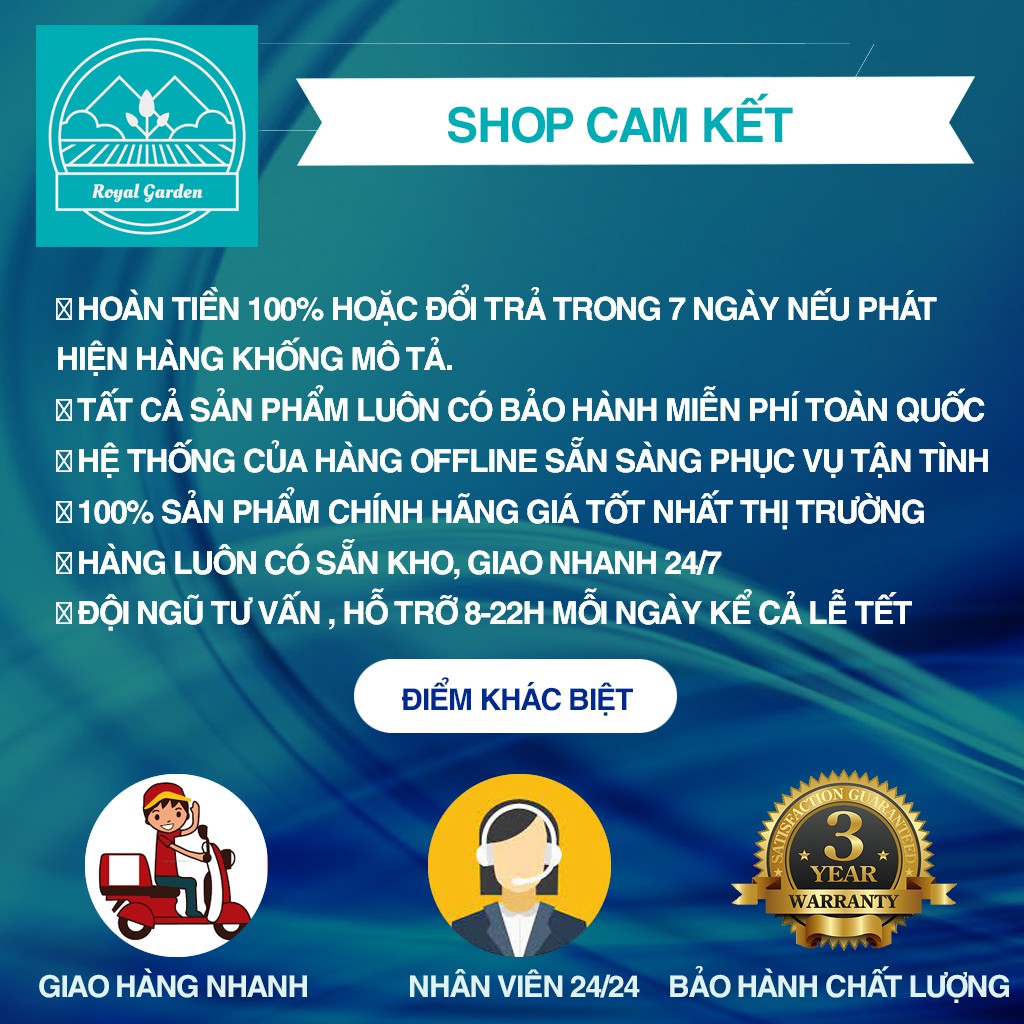 Đèn xông tinh dầu thủy tinh cao cấp bảo hành lâu nhất