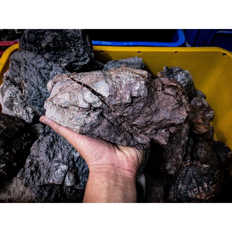 Đá Frodo Siêu Vân | Trang trí Setup Bể Thủy Sinh, Biotope,... | Mua Nhiều Giảm Giá.