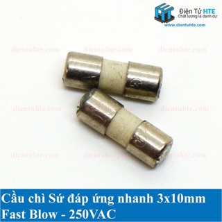 Bộ 4 cầu chì FUSE sứ Ceramic 3x10mm Fast Blow