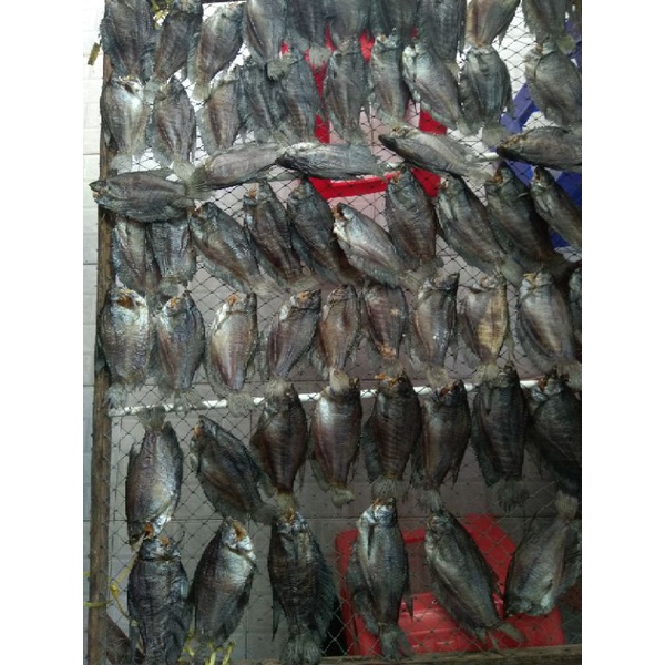 Khô cá sặc bổi Cà Mau-Khô lạt, vừa ăn, không mặn, size lớn, tự nhiên-KL: 500gr