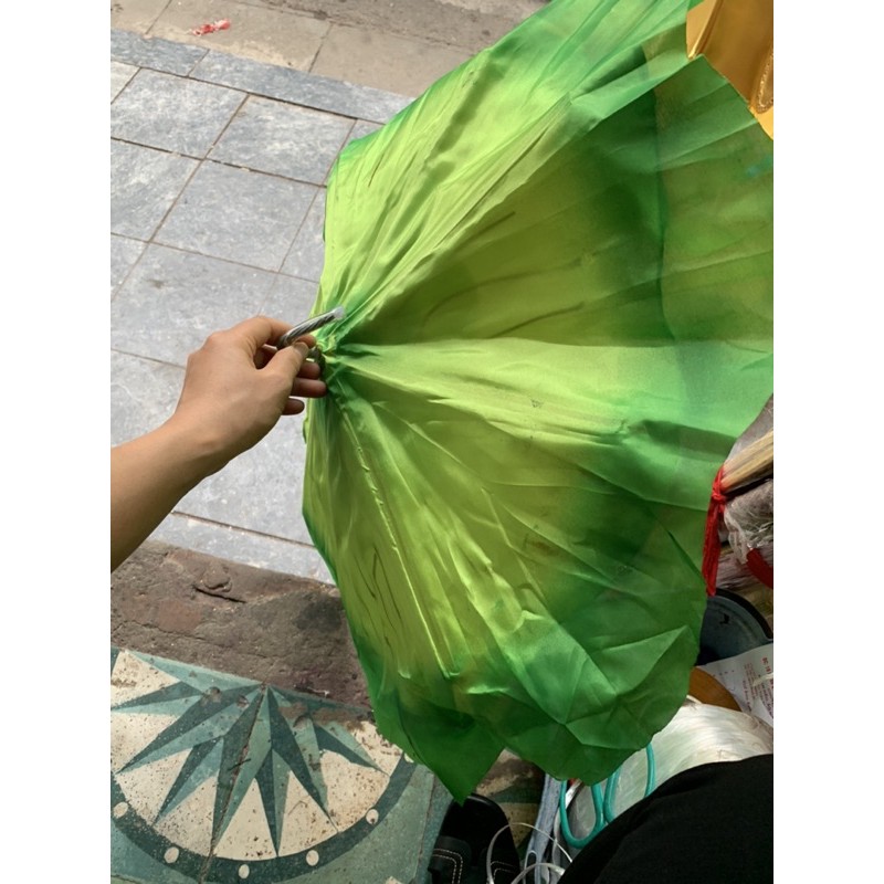 Lá sen múa cầm tay