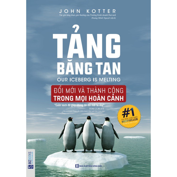Sách - Tảng Băng Tan: Đổi Mới và Thành Công Trong Mọi Hoàn Cảnh