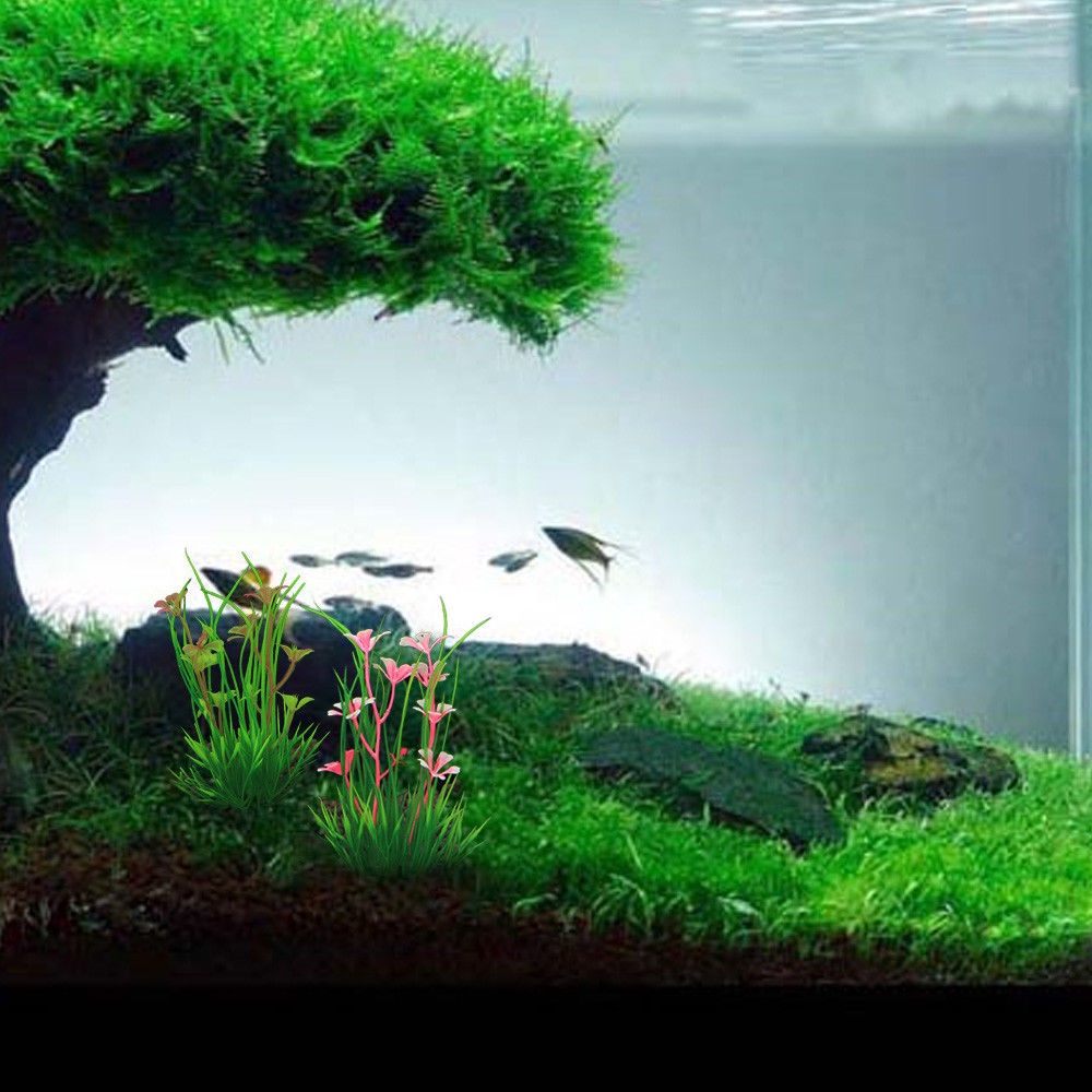 Cỏ nhựa trang trí bể cá không độc hại tiện dụng