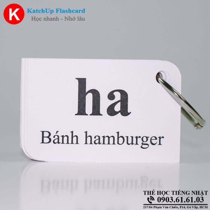 Bộ KatchUp Flashcard Bảng chữ cái Hiragana và Katakana