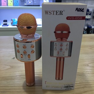 Míc hát w858