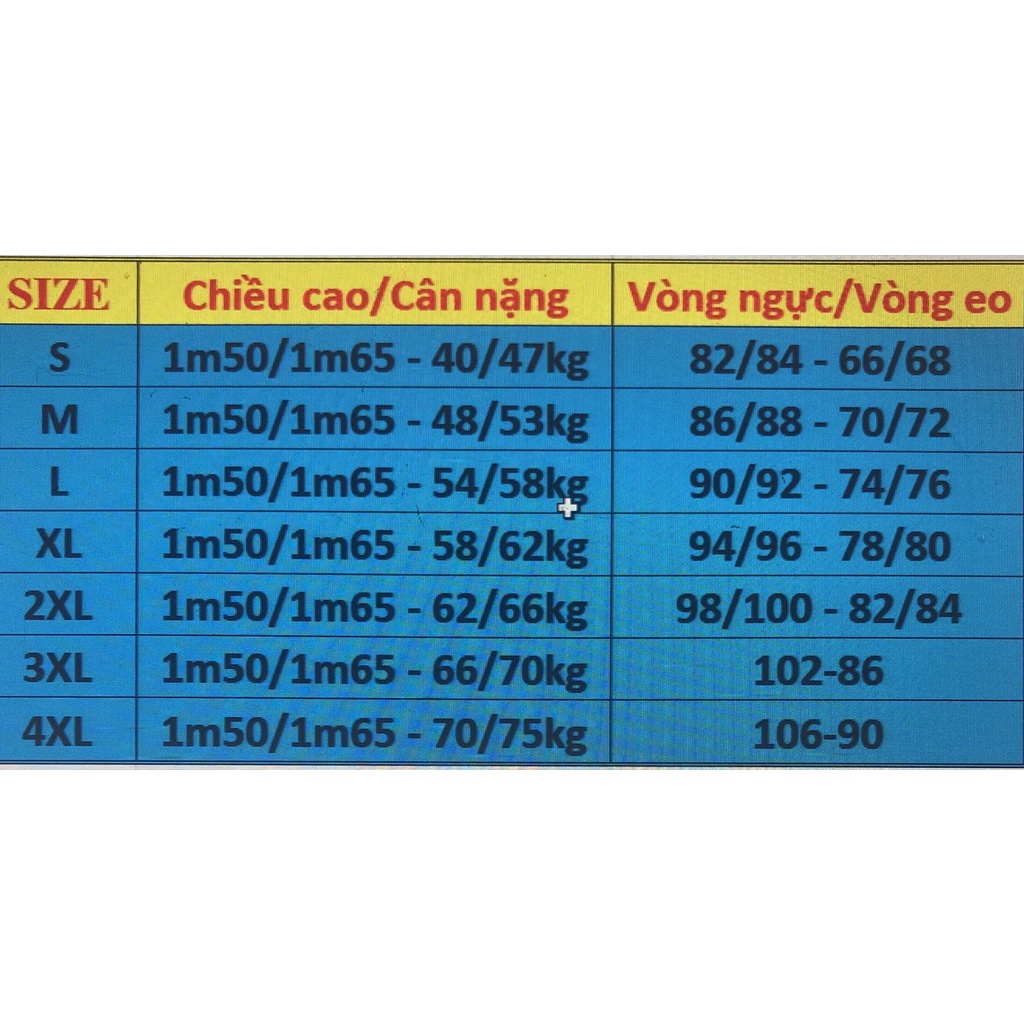 Áo Dài Lụa Tây Thi Cao Cấp Họa Tiết Đính Kết Thủ Công Tỉ Mỉ - Mã MT3