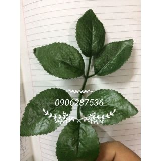 1 Lạng Lá nhựa