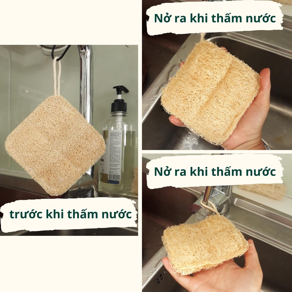 Miếng Rửa Chén Xơ Mướp Cỡ Lớn Hình Vuông - Miếng Chùi Nồi - Miếng Rửa Bát - Xơ Mướp Tắm Tẩy Da chết