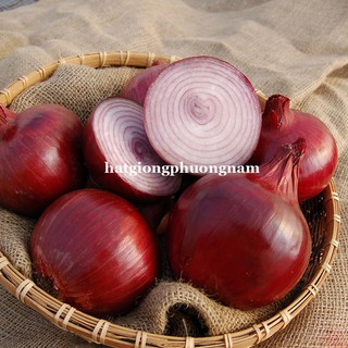 HẠT GIỐNG HÀNH TÂY TÍM