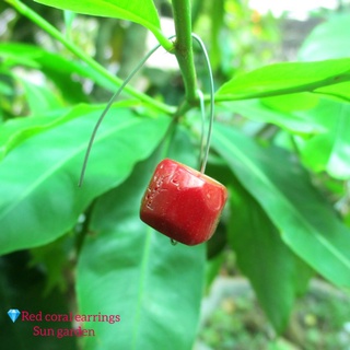Bông tai thủ công đỏ độc đáo