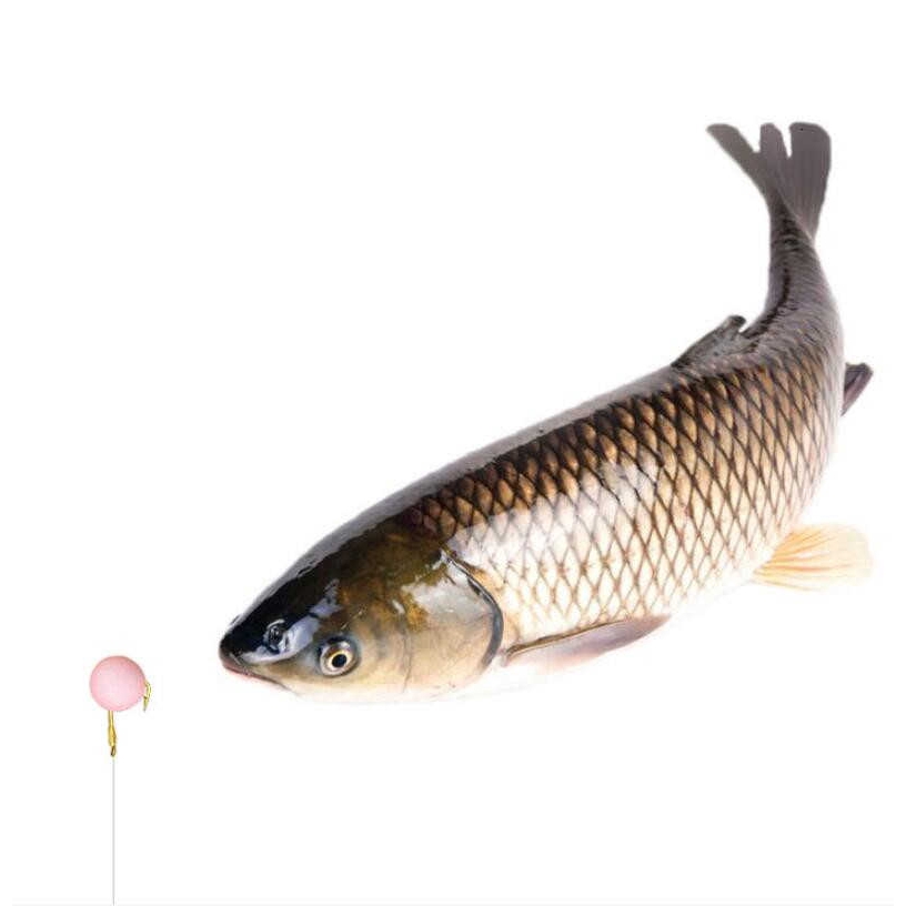 170/ 900 Hạt Mồi Câu Cá Mùi Kích Thước 4-9mm Chất Lượng Cao