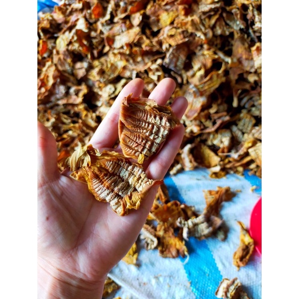 Măng nứa tây bắc