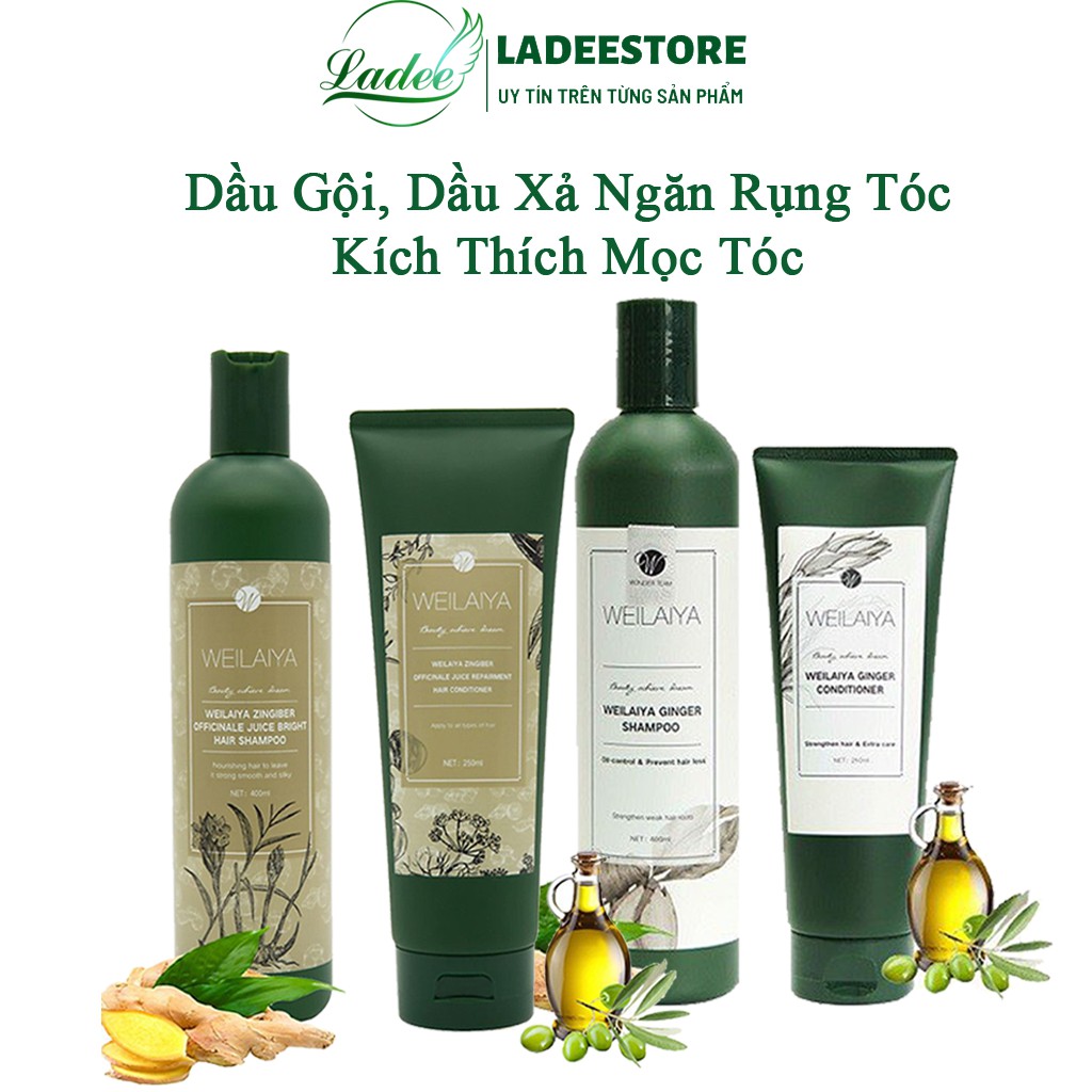 Bộ Dầu Gội Dầu Xả Gừng Và Hà Thủ Ô Giảm Tình Trạng Rụng Tóc, Kích Thích Mọc Tóc Hiệu Quả Và Làm Tóc Chắc Khỏe