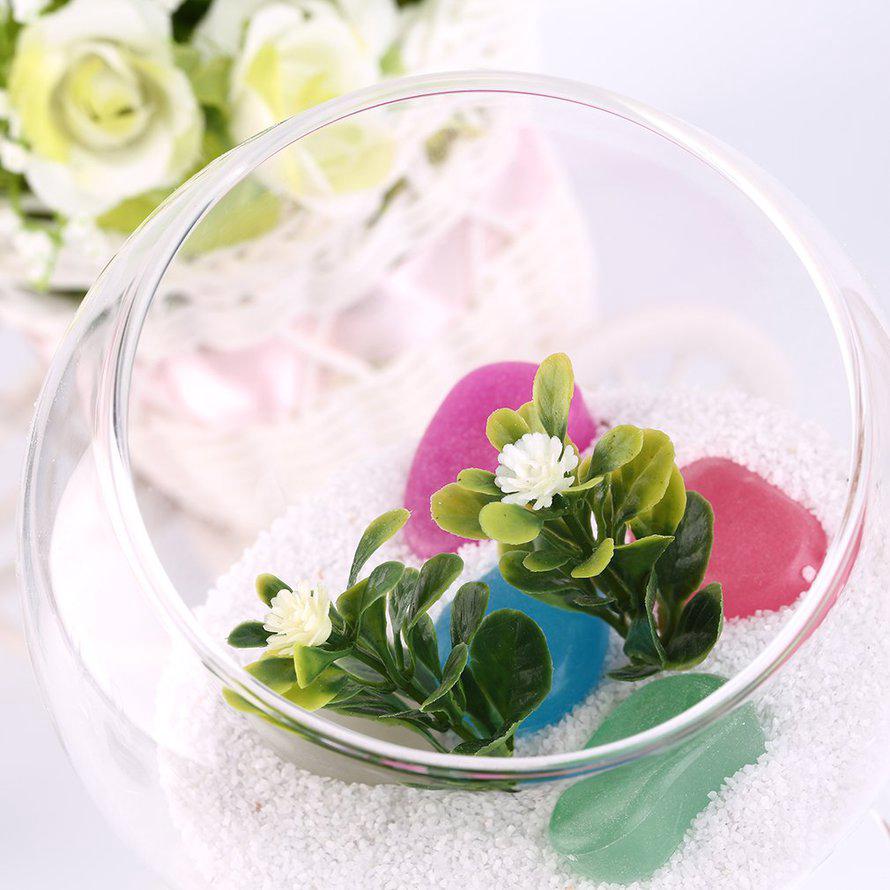 Bình thủy tinh hình ly rượu đựng cây cảnh, nuôi cá tuyệt đẹp