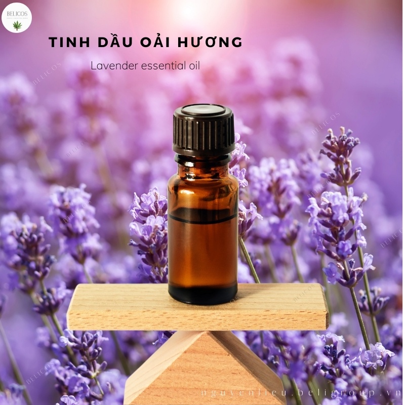 Tinh dầu hoa Lavender 30ml - Oải Hương nguyên chất làm nến thơm thiên nhiên, mỹ phẩm, nước hoa