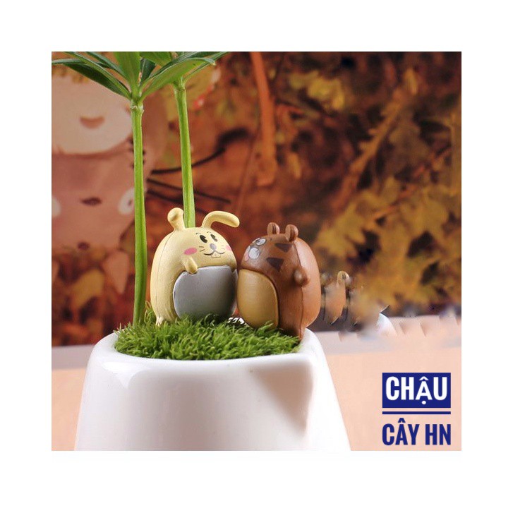 Tiểu cảnh thú béo trang trí terrarium, sen đá, xương rồng, cây cảnh mini, charm slime trang trí chậu cây trồng, nhà cửa