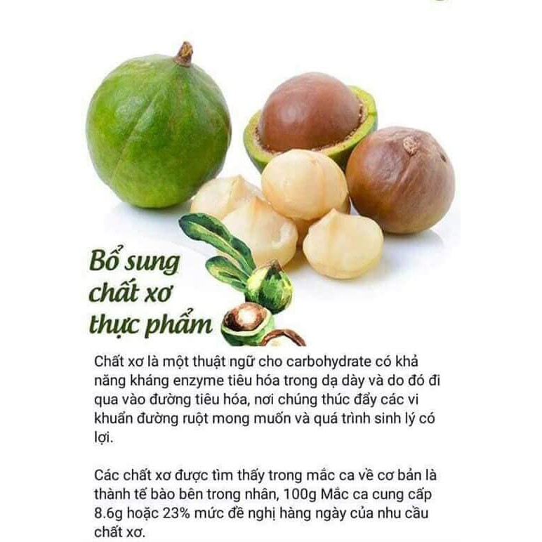 Hạt macca nhập khẩu Úc 500g Viet Healthy, giàu Vitamin B1, magie, cải thiện tiêu hóa, thần kinh, xương khớp, làm đẹp da,