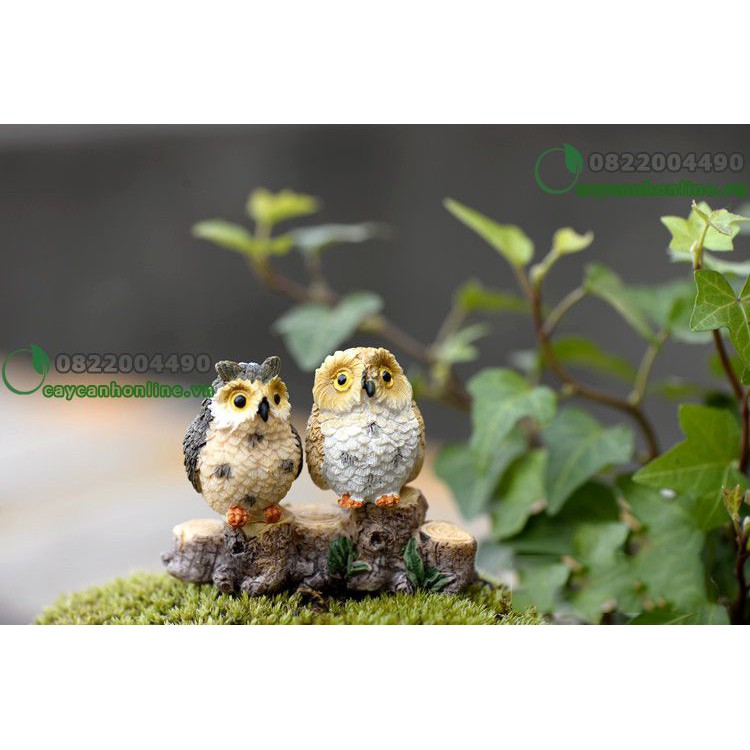 Chim cú mèo - tượng trang trí tiểu cảnh trang trí bàn làm việc - phụ kiện tiểu cảnh