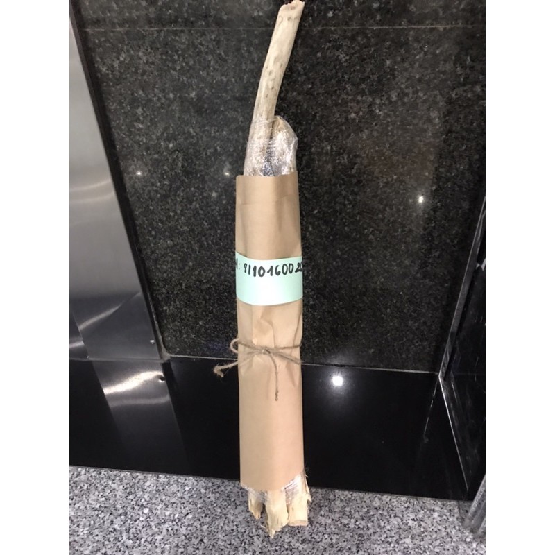 Bộ củi làm cây thông Handmde
