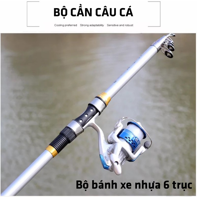 Bộ cần câu cá FRP đầu kim loại (Kèm máy câu) C50